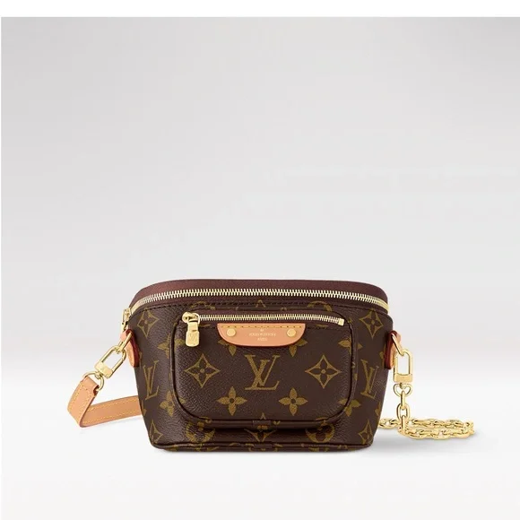 Louis Vuitton Mini Bum Bag Monogram NWT box and reciept - Picture 2 of 8